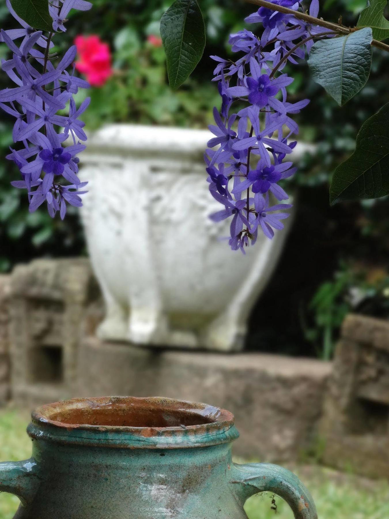 Noosa Valley Manor B&B Doonan Bagian luar foto